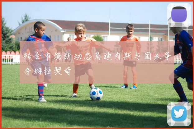 转会市场新动态乌迪内斯与国米争夺姆拉契奇